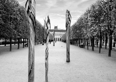 Racines - Jardins du Palais-Royal - Paris - Photo Montage