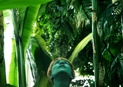 Série verte - CS - Grande Serre tropicale du Jardin des Plantes - Paris - photo sans montage